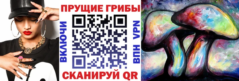 Галлюциногенные грибы GOLDEN TEACHER  купить   Дрезна 